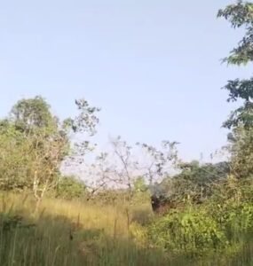 3fa86474-3ddf-4a1d-99a6-99fd6597c013