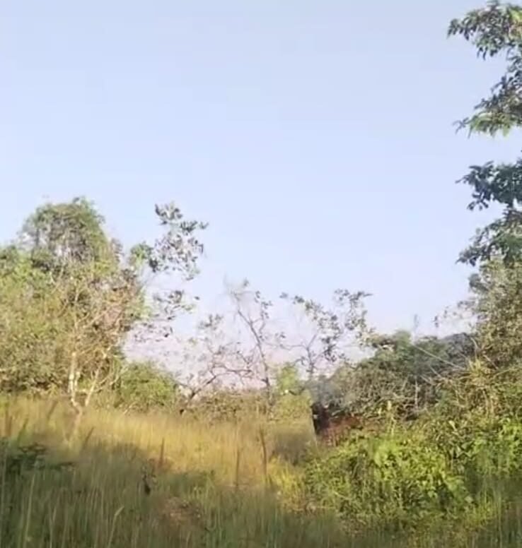 3fa86474-3ddf-4a1d-99a6-99fd6597c013