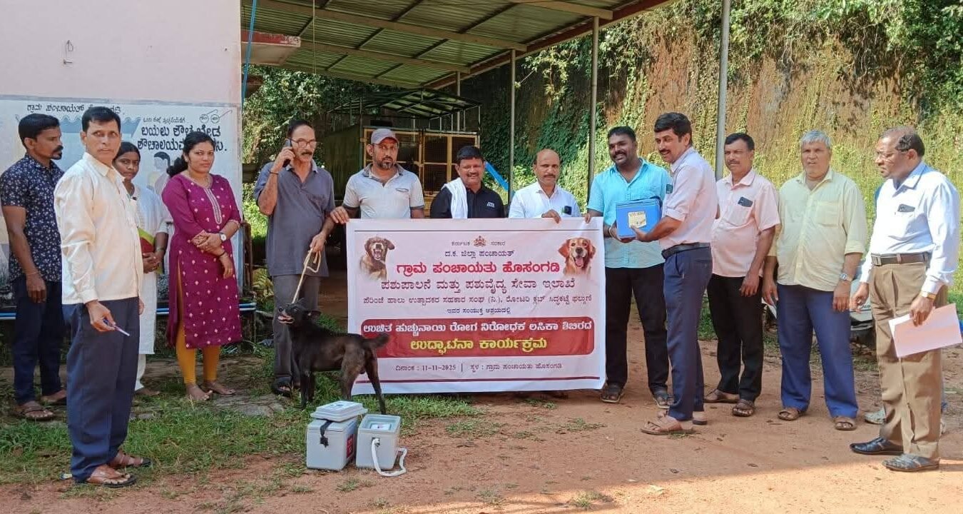 85d8d710-4b48-4f57-9370-59eb77ac329e