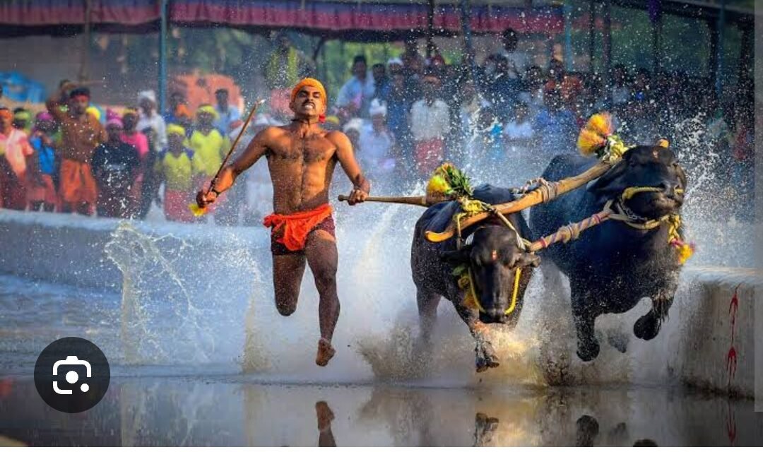 Screenshot_20251121_195632