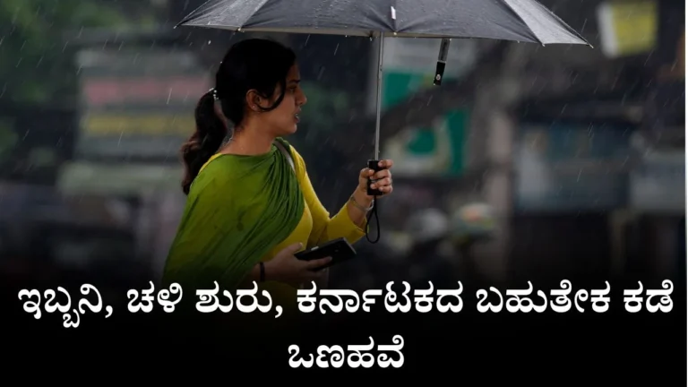 rain-29