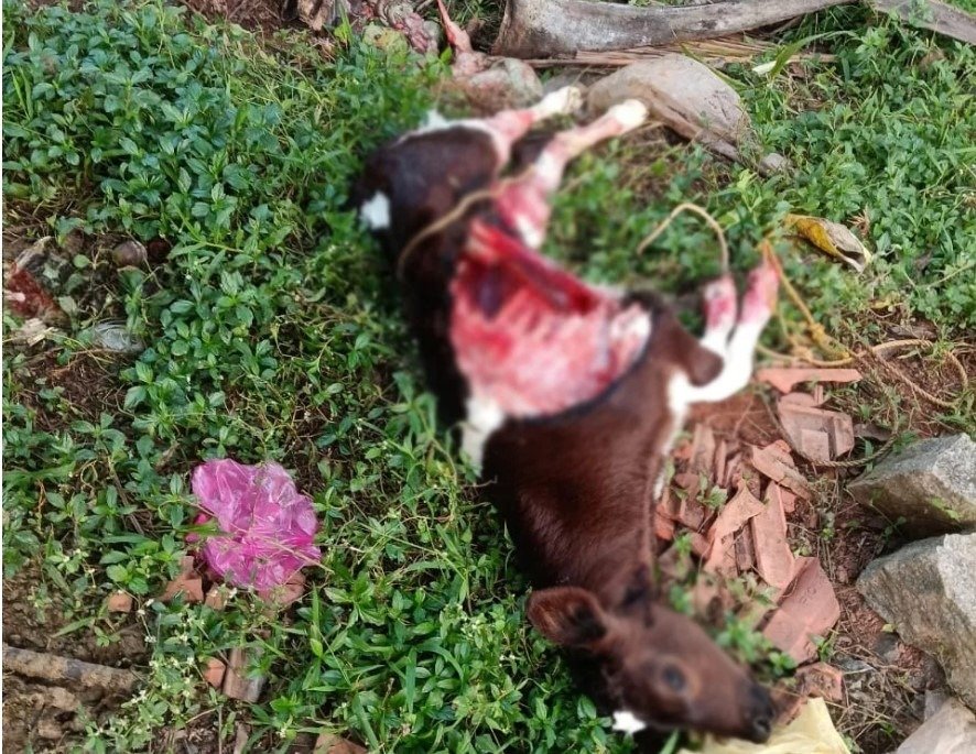 Screenshot 2025-12-11 122349