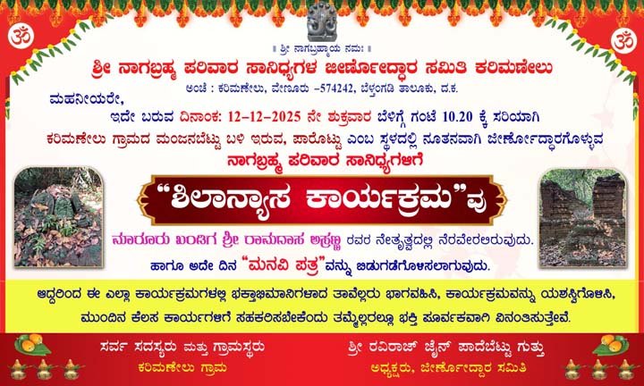 WhatsApp Image 2025-12-11 at 6.45.56 PM