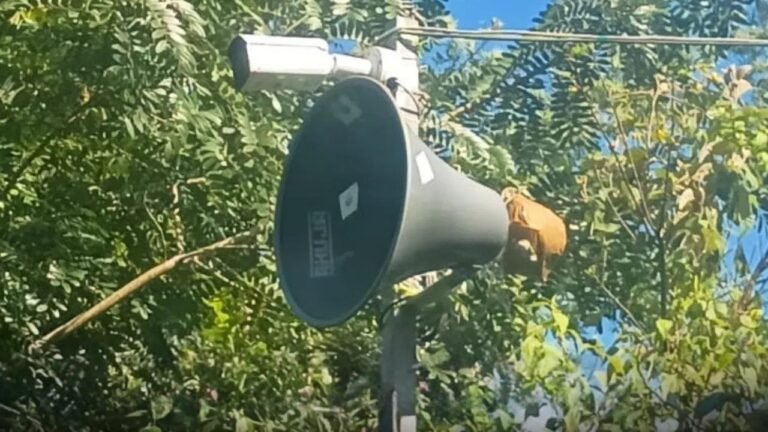 ai-camara-to-drive-away-elephants
