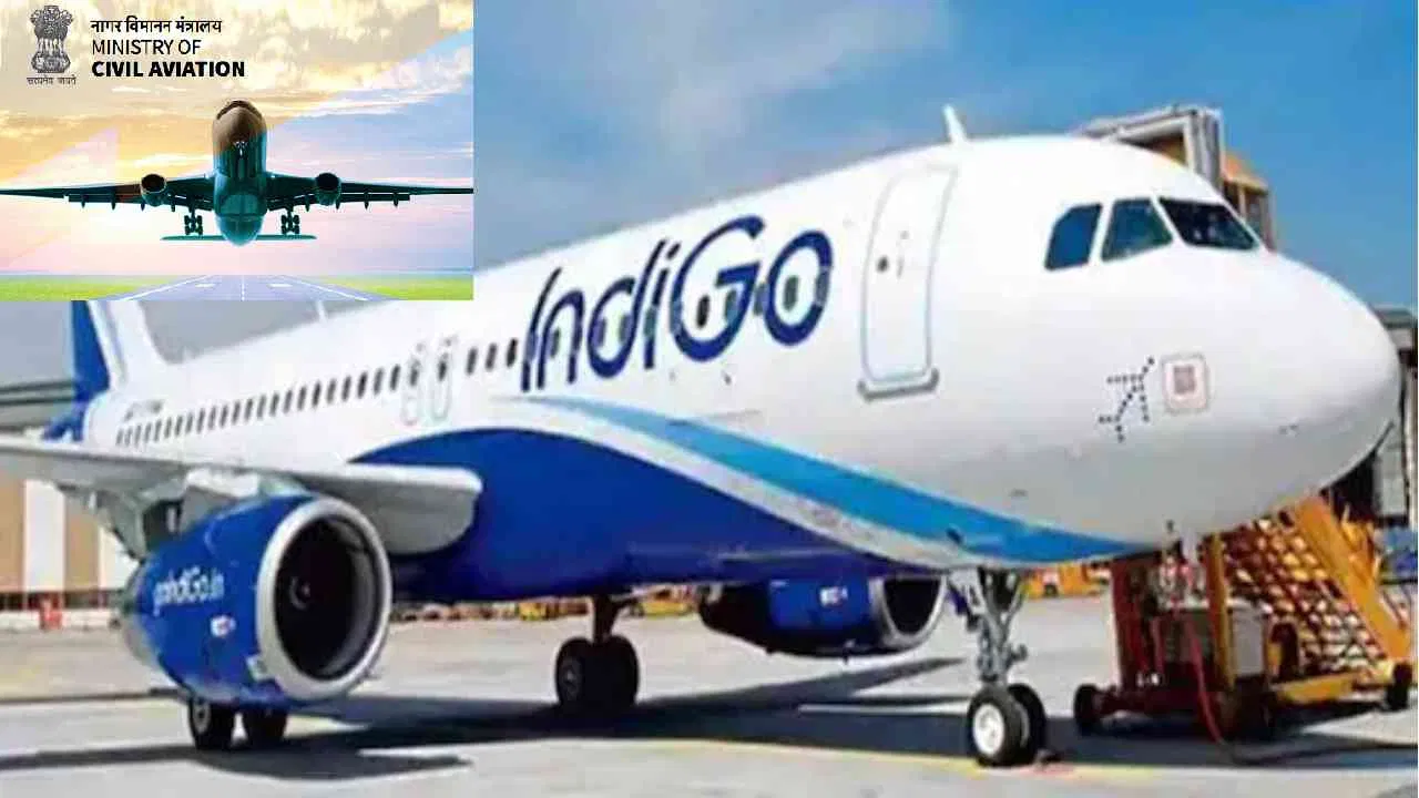 indigo-1