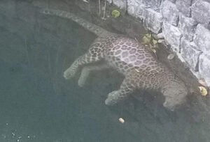 Screenshot 2026-01-22 102526