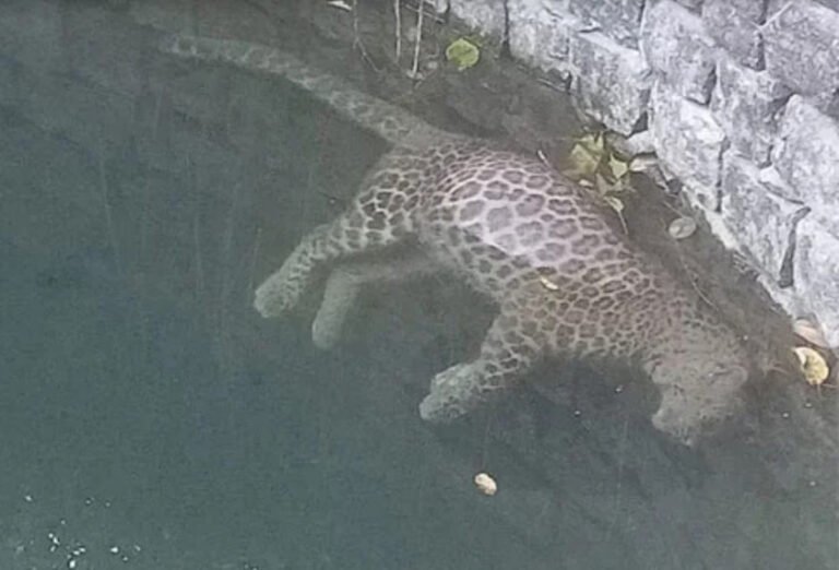 Screenshot 2026-01-22 102526