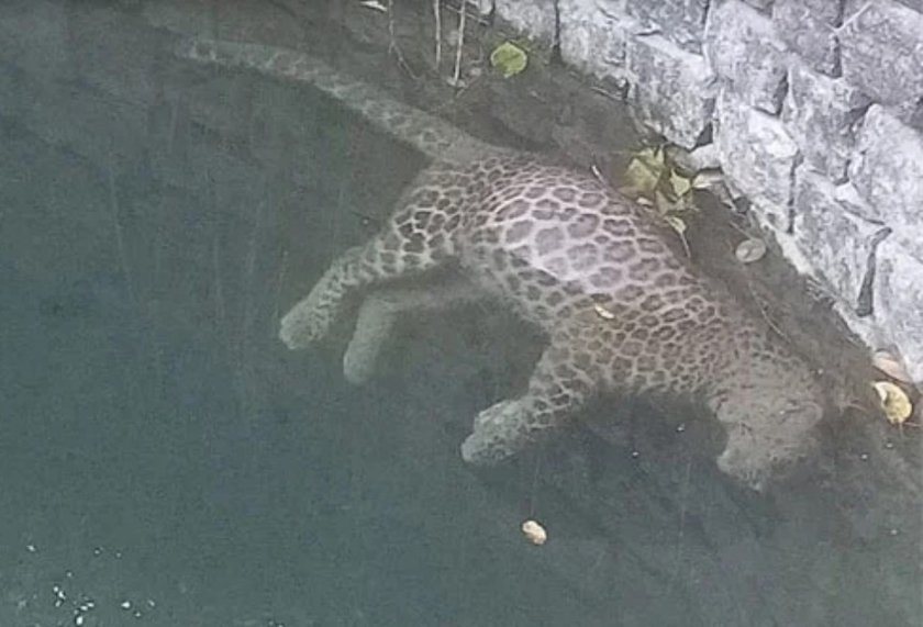 Screenshot 2026-01-22 102526