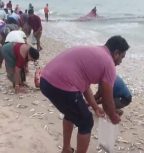 WhatsApp Image 2026-01-03 at 1.36.20 PM