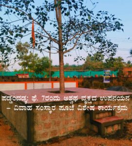 paddandaka mara copy