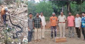 Screenshot 2026-03-06 110700 copy