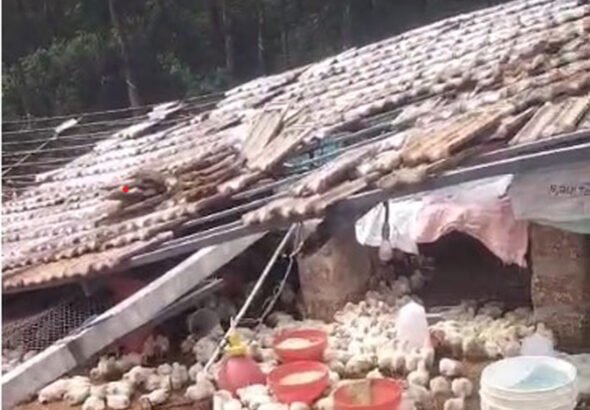 Screenshot 2026-03-29 122552