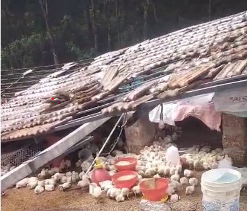 Screenshot 2026-03-29 122552