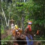 Screenshot 2026-04-25 121340