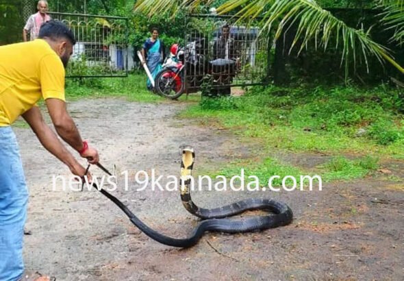 keddu copy