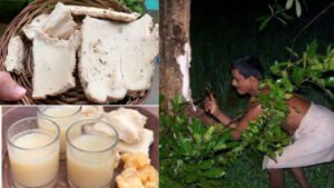 aati