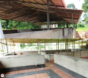 anna copy