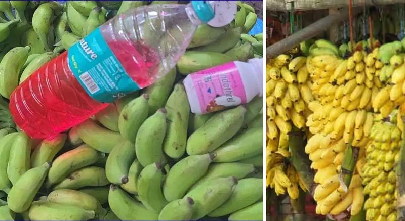 banana11 copy