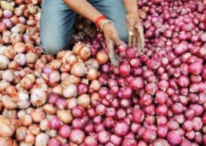 onion