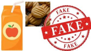 fake