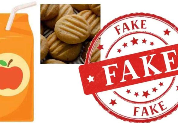 fake