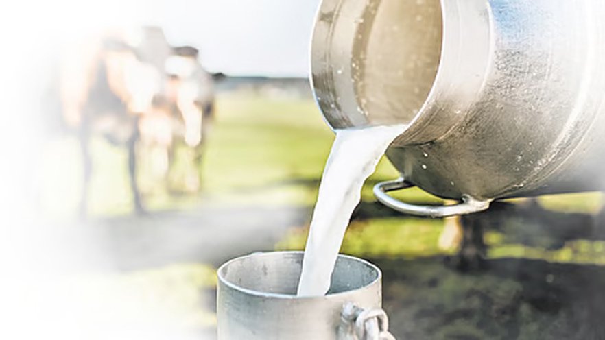 milk