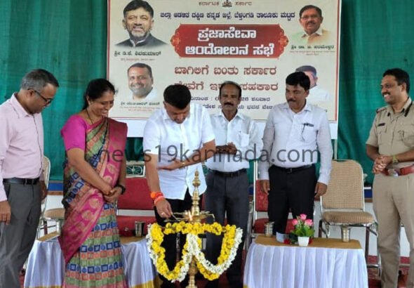 mla copy