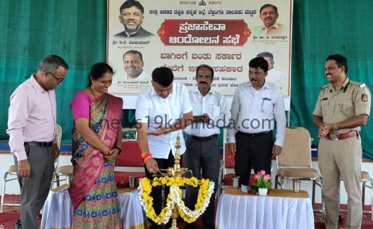 mla copy