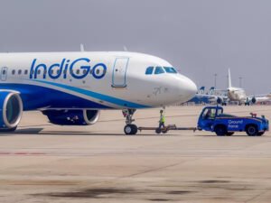 indigo