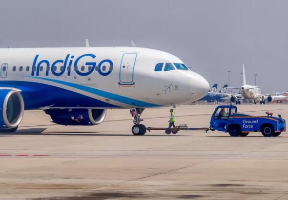 indigo