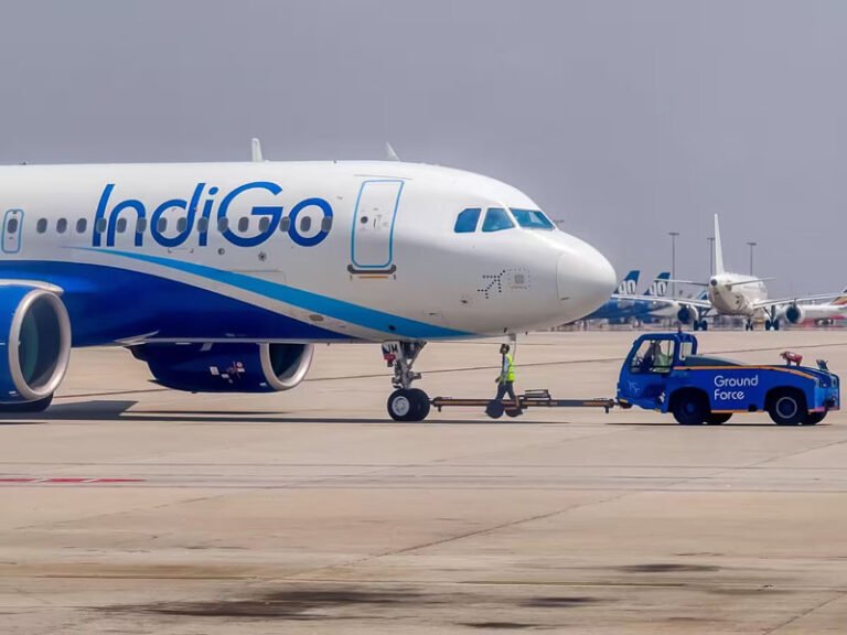indigo