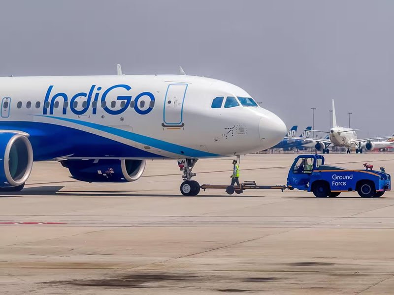 indigo